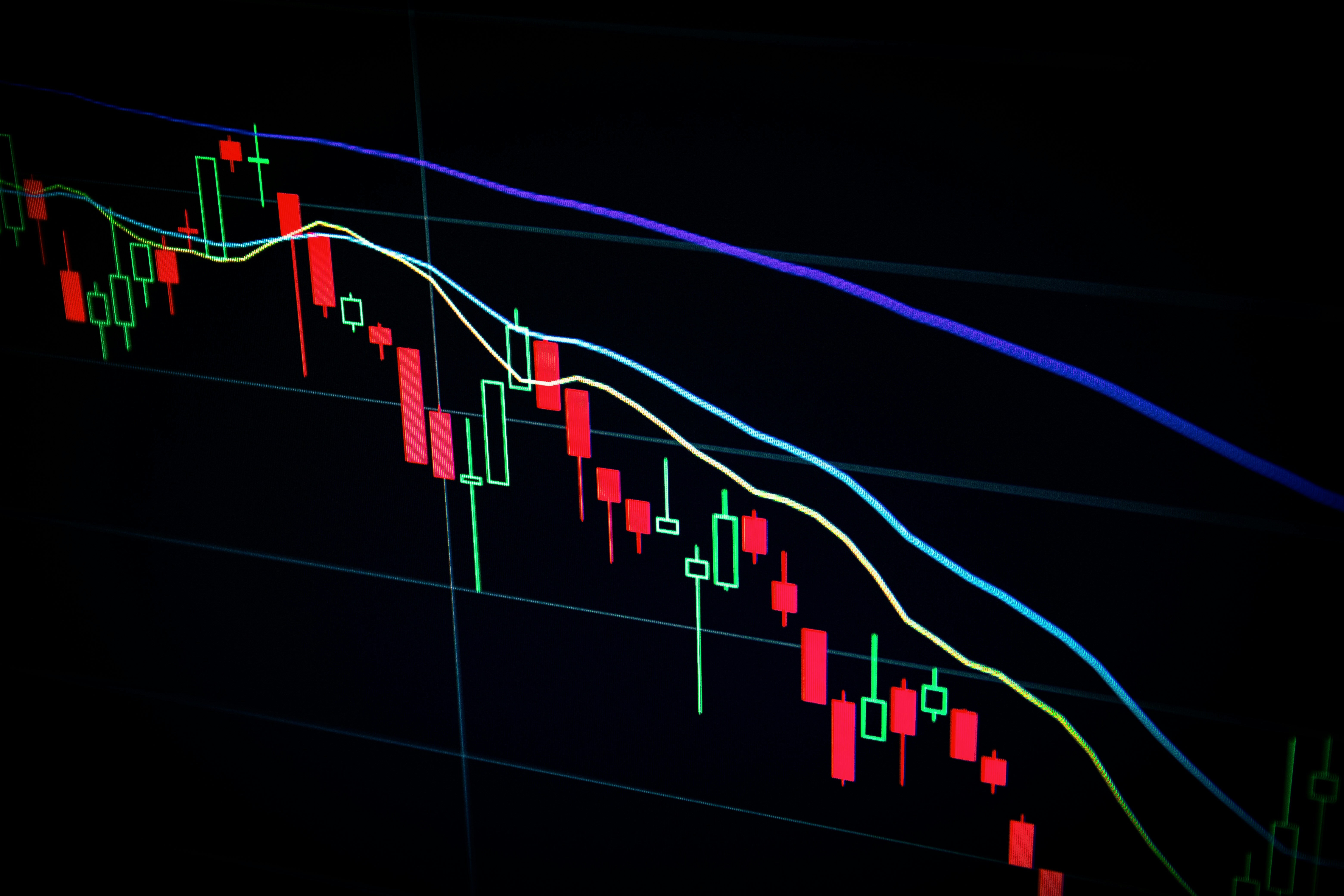 NeuralProfit im Test